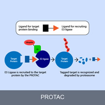 PROTAC