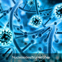 Nucleoside Drugs and APIs: for the Teatment of Hepatitis B