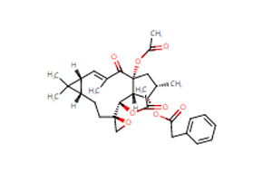 Product News | The Importance of Steroid Hormones in the API Industry